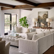 Living Room Ideas