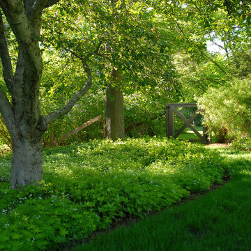 Davis Park Residence