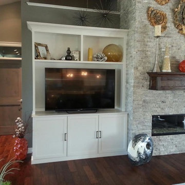 Family Entertainment Systems