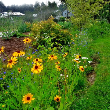 Before & After Master Gardener Landscape Makeover Lawn Reduction & Rain Gardens
