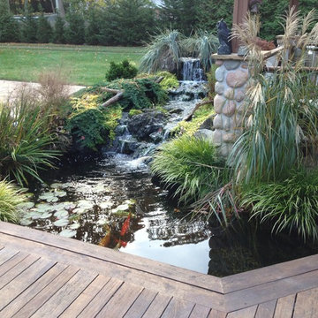 Pond Paradise Designs assorted photos