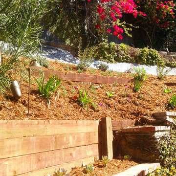Drought Tolerant-Hill Side