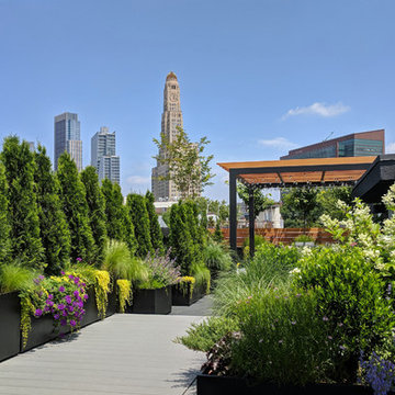 Park Slope Roof Garden Gets Makeover with Pergola and Decking