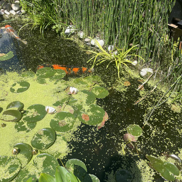 Jardin Campagne 78620 L'Etang la Ville