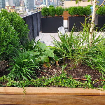 Ipe Roofdeck Condo Common Area Long Island City, NY