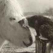 Angela O'Donnell's photo