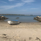 Bobbie DeBettencourt's photo