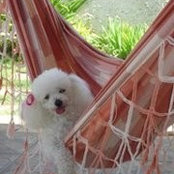 Foto von Glenda El Gamal