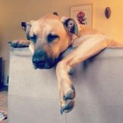 Raven Henin's photo