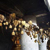Laura Molnar's photo