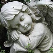 Petra Herron's photo
