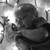 Amanda Wilson's photo