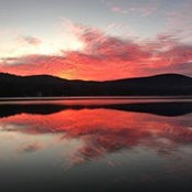 Foto von Mary Langley