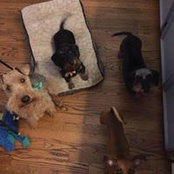 Susan Posts foto