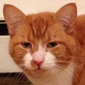 Janet Street's photo