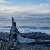 Sharon Steinbach's photo