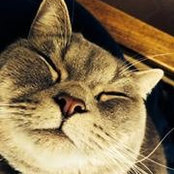 Brian Wilson's photo