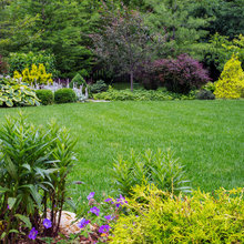 New York garden