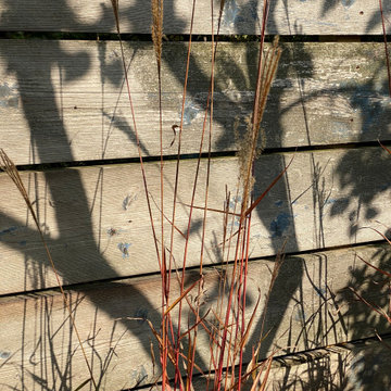Le jardin à l'atelier