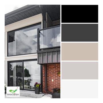 Variety of Color Palettes