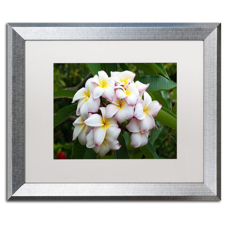 Pierre Leclerc 'Plumeria' Matted Framed Art, Silver Frame, White, 20x16