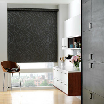 Screen & Roller Shades