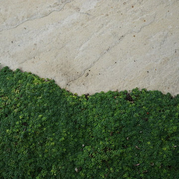 Rustic Terraced Garden