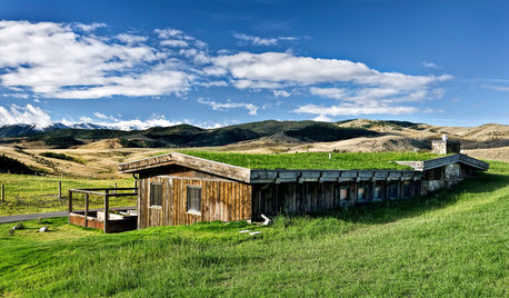 5 très bonnes raisons de végétaliser sa toiture