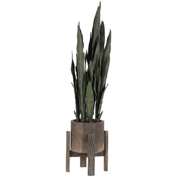 Mother, Law Tongue Plant, Round Wood Planter With Stand