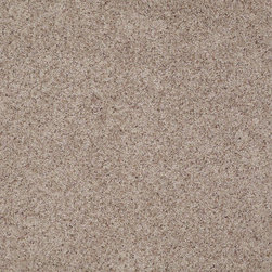 Lasting Impressions- Enriching - Home Improvement