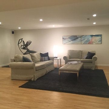 Tracy Place Basement