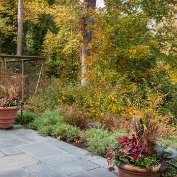 Silver Spring Renovation