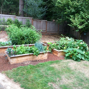 Mid summer edible garden