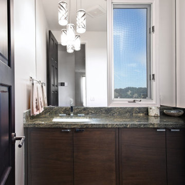 Contemporary Renovation