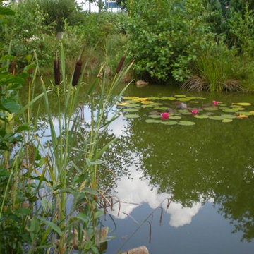 Teichanlagen
