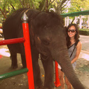 Nhung Les foto