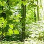 NAIDA CUEVAS's photo
