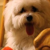 Natalie Turner's photo