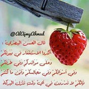 Amal Ayad's photo