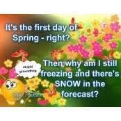 Denise Pedersen-Bartley's photo