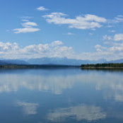 Richard Levy's photo