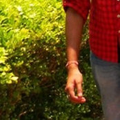 Ranajoy Roys foto