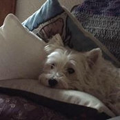 Deanie Goodman's photo