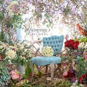 Jenan Dakroub's photo