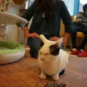 Carolina Ramirez's photo