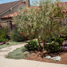 med garden