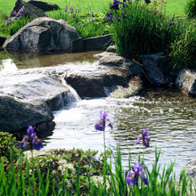 Teich