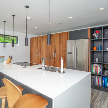 Modernist New Build