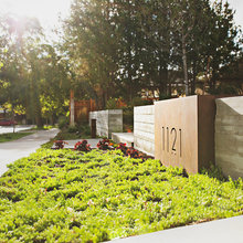Landscape Ideas