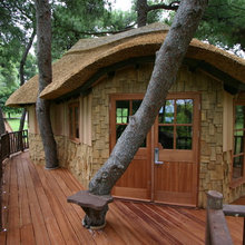 Kids Tree House